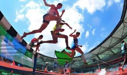 体育圈很乱天涯,乱象背后的真相与反思