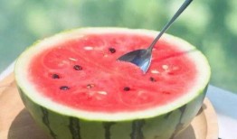 吃瓜网官网免费观看,热门剧集一网打尽！